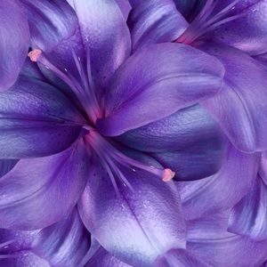 Meet your Posher, Rickida